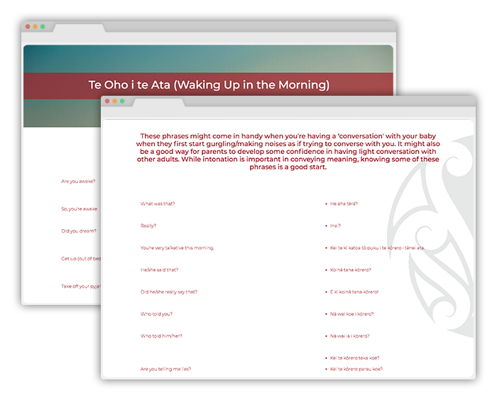 TRU Whare 700x565 72dpi 1